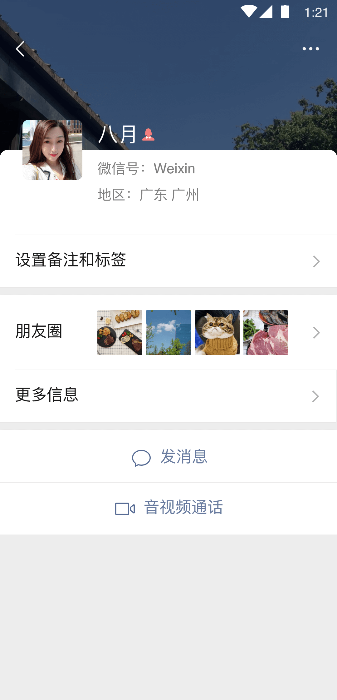 秋之回忆8历代女主角截图